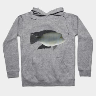 Rio Grande Cichlid Hoodie